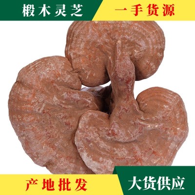 厂家产地批发灵芝大货 椴木灵芝赤灵芝批发 灵芝500g金寨特产图2