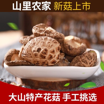 金寨特产干货香菇 椴木小花菇产地直批 250克一件代发冬菇花菇