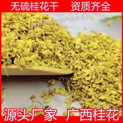 厂家批发 新货花草茶 桂林金桂花茶 桂花茶 脱水桂花干