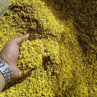 厂家批发 新货花草茶 桂林金桂花茶 桂花茶 脱水桂花干图2