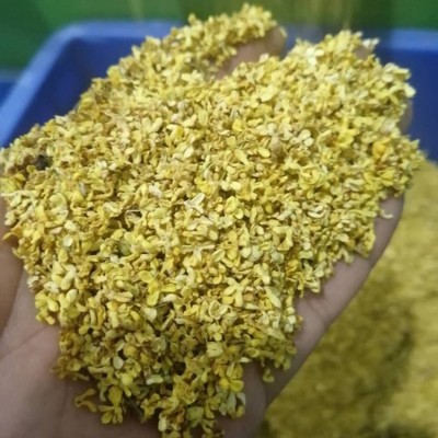 厂家批发 新货花草茶 桂林金桂花茶 桂花茶 脱水桂花干图3