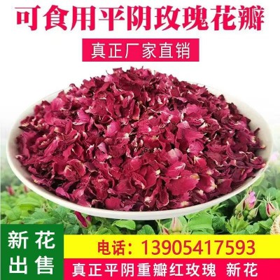 [玫瑰花瓣] 厂家批发食用玫瑰小碎片干花瓣平阴重瓣玫瑰点心馅料