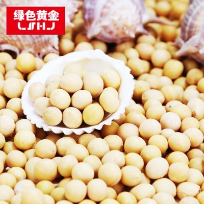 绿色黄金 五谷杂粮 黄豆大豆真空包装350克批发 厂家直发一件代发图3