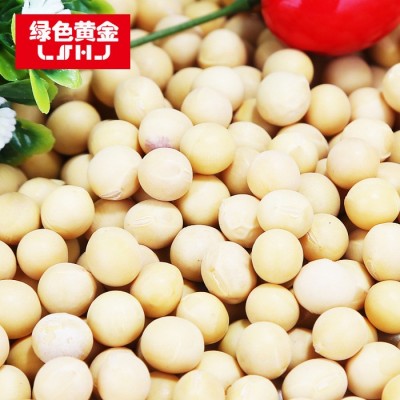 绿色黄金 五谷杂粮 黄豆大豆真空包装350克批发 厂家直发一件代发图4