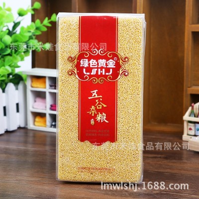 绿色黄金黄小米粥小米农产品食品产地货源厂家直发 五谷杂粮图2