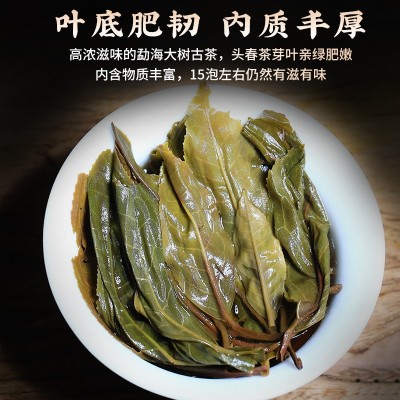 普洱茶叶批发 云南勐海生茶饼357g 七子饼茶叶 生津回甘 厂家直销图4