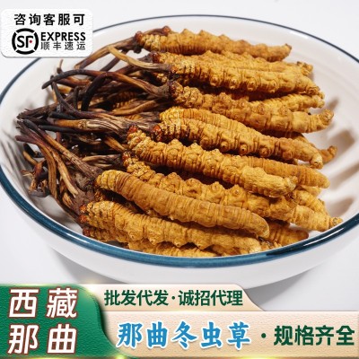 西藏那曲虫草干草泡酒冬虫夏草足干货断冬虫草批发高海拔冬虫夏草