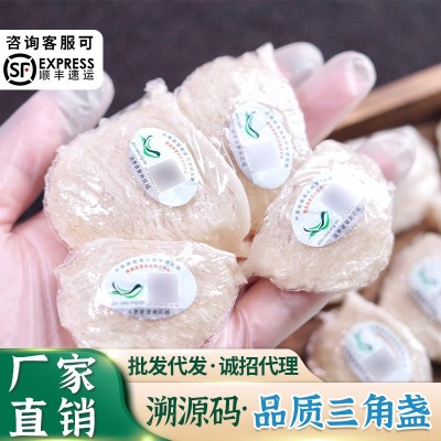 印尼溯源码燕窝批发足干挑燕窝三角燕盏条碎马来金丝鲜炖燕窝原料