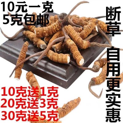 2022年正品断虫草整根冬虫草礼盒装送礼非西藏那曲冬虫夏草批发图2