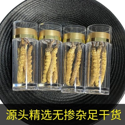 正品虫草干货新鲜野生冬虫夏草小瓶装西藏那曲冬虫夏泡酒煲汤图5