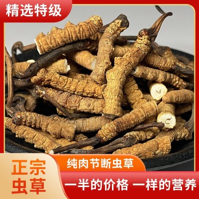 正宗断草礼罐装西藏那曲冬虫夏草冬虫草断虫草大量批发干货送礼图3