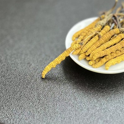 西藏冬虫夏草批发 高海拔虫草 冻干全肉节冬虫夏草 断草 冬虫夏草图3