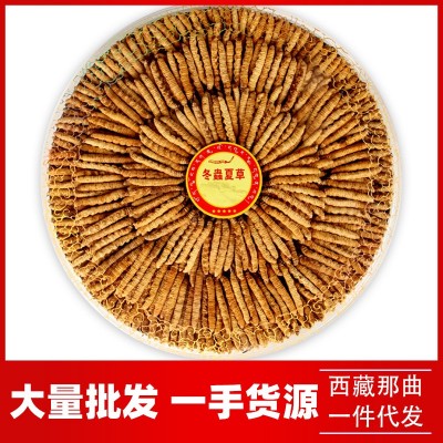 冬虫夏草官方旗舰店冬虫夏草断草根头期正品干货虫草50克礼盒装图5