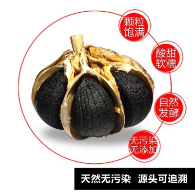 龙润生多瓣黑蒜250g礼盒黑大蒜山东特产年货批发价2盒送手提图3