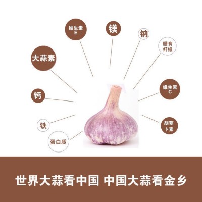 2023年紫白皮蒜头3.5-4.5厘米1斤新大蒜头大蒜之乡产地直发批发图3