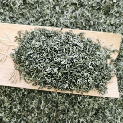 2023年新茶四川雅安高山云雾绿茶蒙顶山毛峰香茶散装茶叶碧螺春图2