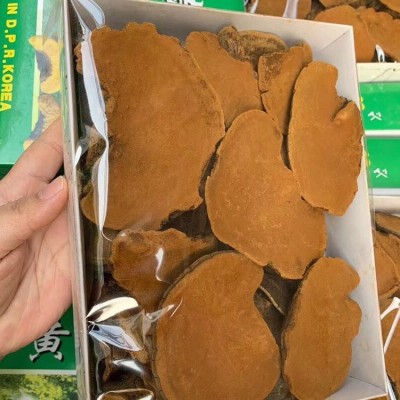 东北特产野生桑树桑黄 500克/份暴马桑耳桑黄鲍氏层孔菌深山采摘图2