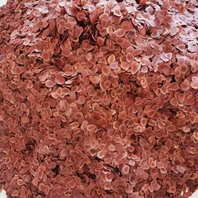 干鹿茸片 优质厂家 锦源鹿产品 现货直发 规格齐全