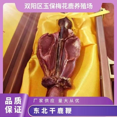 玉保鹿产品 整根干鹿鞭 泡酒煲汤 鹿乡直发 东北特产图5