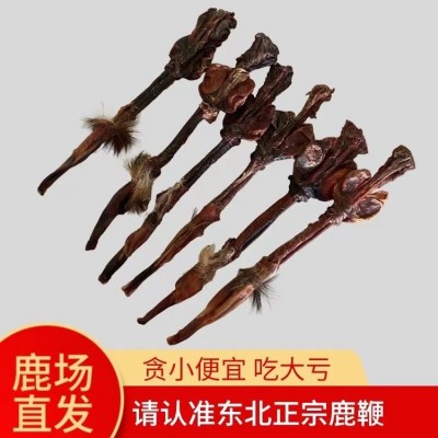 【鹿花鞭】整根干鲜鹿鞭原毛原蛋礼盒泡酒煲汤 一根也发70-100克之间