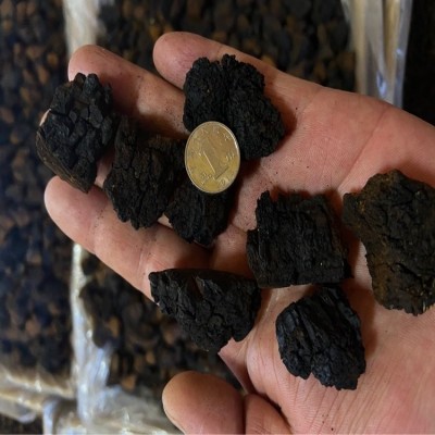 桦树茸白桦茸桦褐孔菌黑金颗粒，桦树茸外皮俄罗斯西伯利亚代加工图3