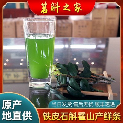霍山产铁皮石斛鲜条 4年正宗仿枫斗干条原料新鲜采摘现采现发图4