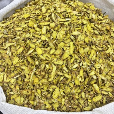 黄芩 中药材批发供应 黄芩 实物拍摄