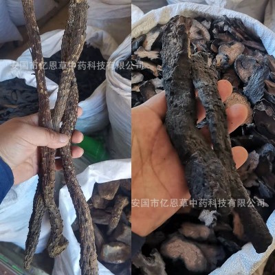 产地货源 肉苁蓉药材批发 阿拉善肉苁蓉整根 中药材销售 品种齐全