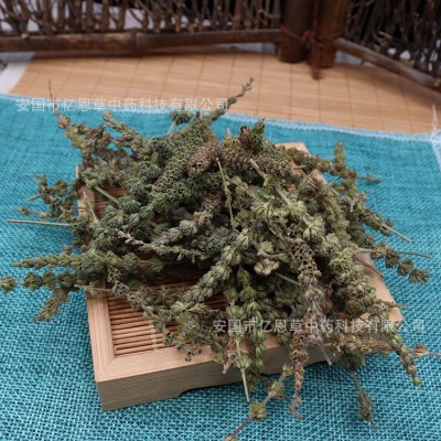 荆芥穗 药材批发 品种齐全 中药芥穗 新货 无杂质 地产药材 芥穗图2