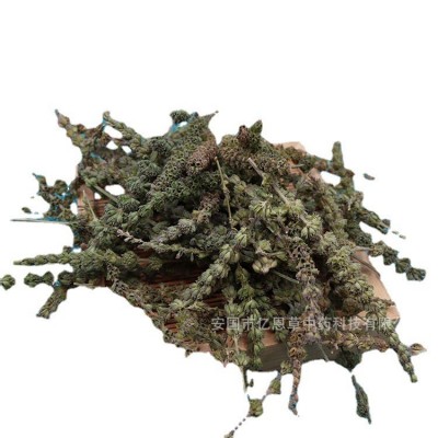 荆芥穗 药材批发 品种齐全 中药芥穗 新货 无杂质 地产药材 芥穗图5
