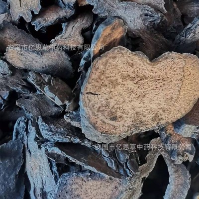 肉苁蓉切片 中药批发 泡酒的药材 沙漠人参 内蒙肉苁蓉 一件代发图2