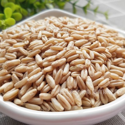 燕麦米 批发燕麦仁粒裸燕麦24.5kg新产莜麦雀麦八宝粥米原料杂粮图3