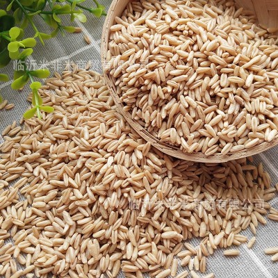 燕麦米 批发燕麦仁粒裸燕麦24.5kg新产莜麦雀麦八宝粥米原料杂粮图4
