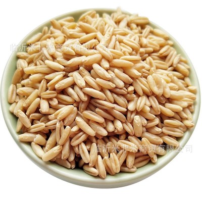 燕麦米 批发燕麦仁粒裸燕麦24.5kg新产莜麦雀麦八宝粥米原料杂粮图5
