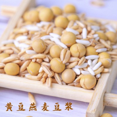 五谷豆浆原料包 低温烘焙家用熟杂粮磨粉 5种现磨豆浆原料包批发图4