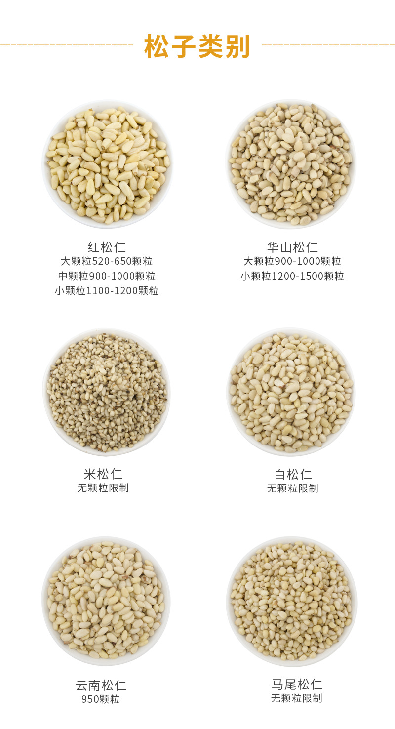 松子仁类别.jpg