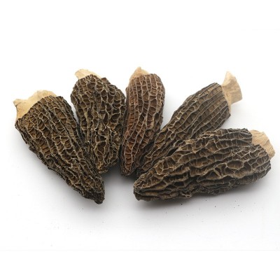 春生堂云南剪柄羊肚菌干货 食用菌散装黑身厚肉剪脚厂家批发图4