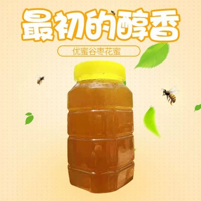 农家自产大枣花蜜花蜜低温洞藏蜜枣花蜂蜜纯蜂蜜现货批发源头工厂图2