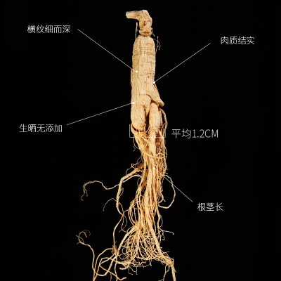 长白山白参原皮生晒参吉林土特产干人参园参全须8年大只盒装批发图4