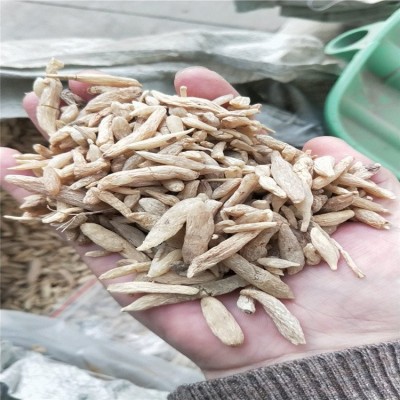 中药麦冬批发 馨航中药材麦 冬种植基地 整车发货