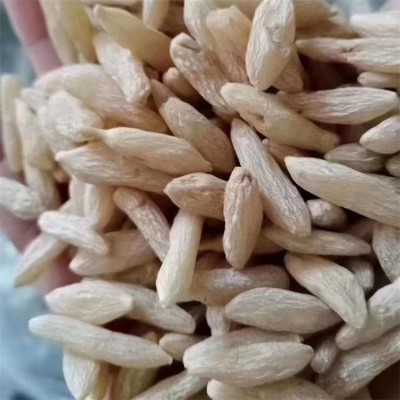 麦冬种植基地 麦冬苗 干麦冬粒批发 专车支持配送图2
