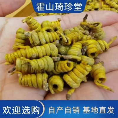 霍 山米斛枫斗 米 斛厂家 龙头凤尾 原产地发货基地直供 营养丰富