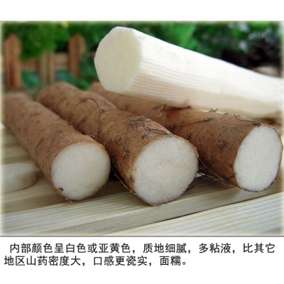 铁棍山药 怀山药 新鲜铁棍山药 5斤装 煲粥煮汤蒸着吃 健康养胃图3