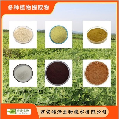 皓泽生物 普洱茶提取物 茶褐素20% 另有 茶多酚 儿茶素 多种规格图5