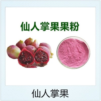 沙棘果粉 斯诺特水溶固体饮料压片糖果 代餐粉原料成品代工图2
