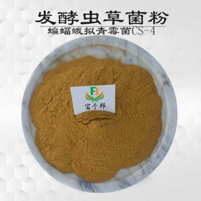 富予邦生物 发酵虫草菌粉 cs-4 冬虫夏草提取 蝙蝠蛾拟青霉菌粉 清香味