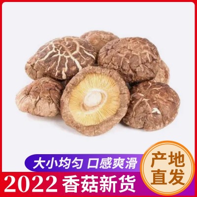 产地直供食用菌精选冬菇香菇剪脚肉厚煲汤食材干香菇批发一件代发