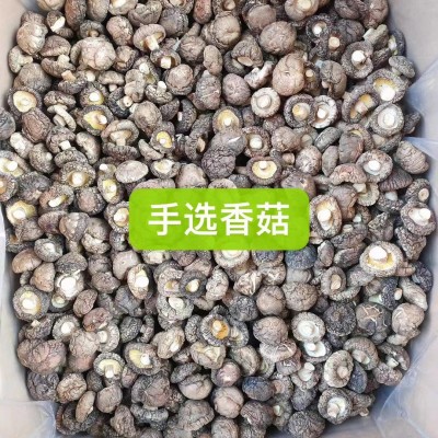 产地直供食用菌精选冬菇香菇剪脚肉厚煲汤食材干香菇批发一件代发图3