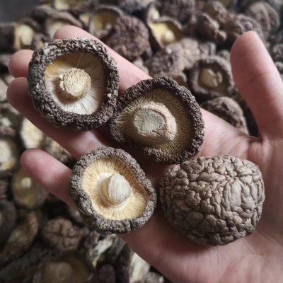 产地直供食用菌精选冬菇香菇剪脚肉厚煲汤食材干香菇批发一件代发图4