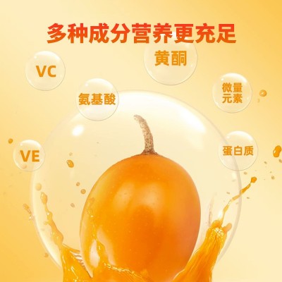 【福寿康宁】NFC沙棘原浆内蒙古小果沙棘原汁厂家直销OEM代工批发图3